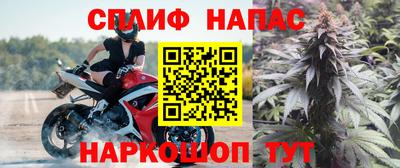 шишки Усть-Джегута