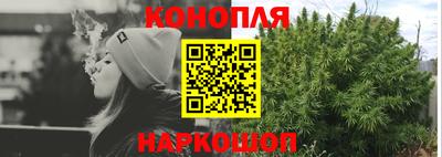 шишки Усть-Джегута