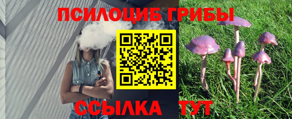 Галлюциногенные грибы Magic Shrooms Надым
