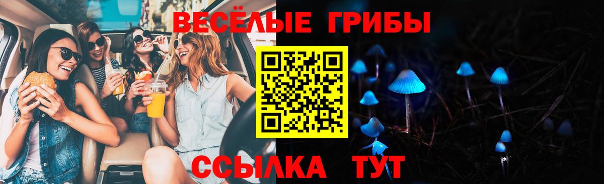 Надым  Псилоцибиновые грибы GOLDEN TEACHER  Вход с VPN 